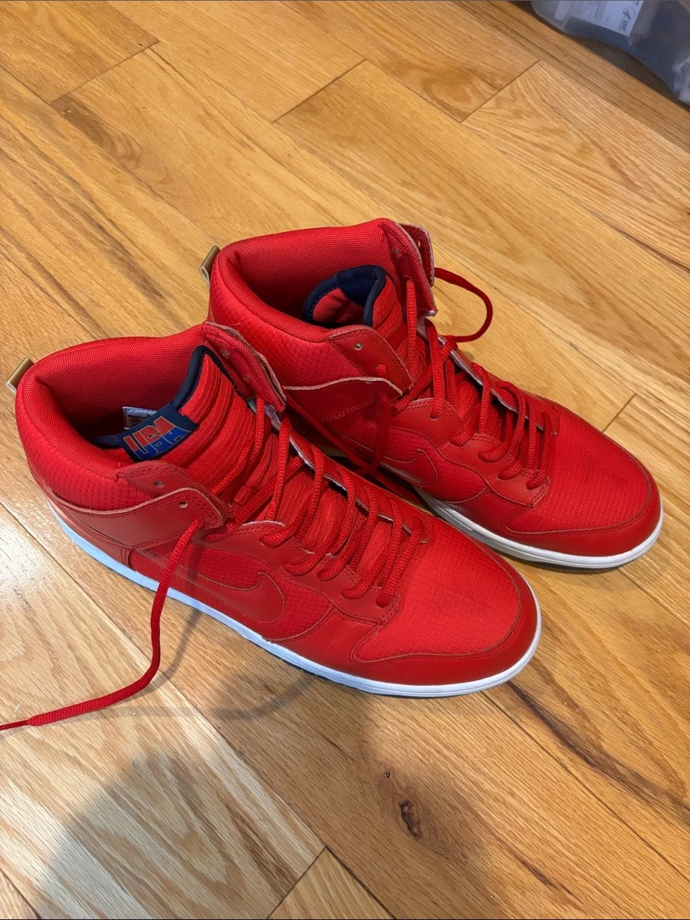 Nike mens dunk